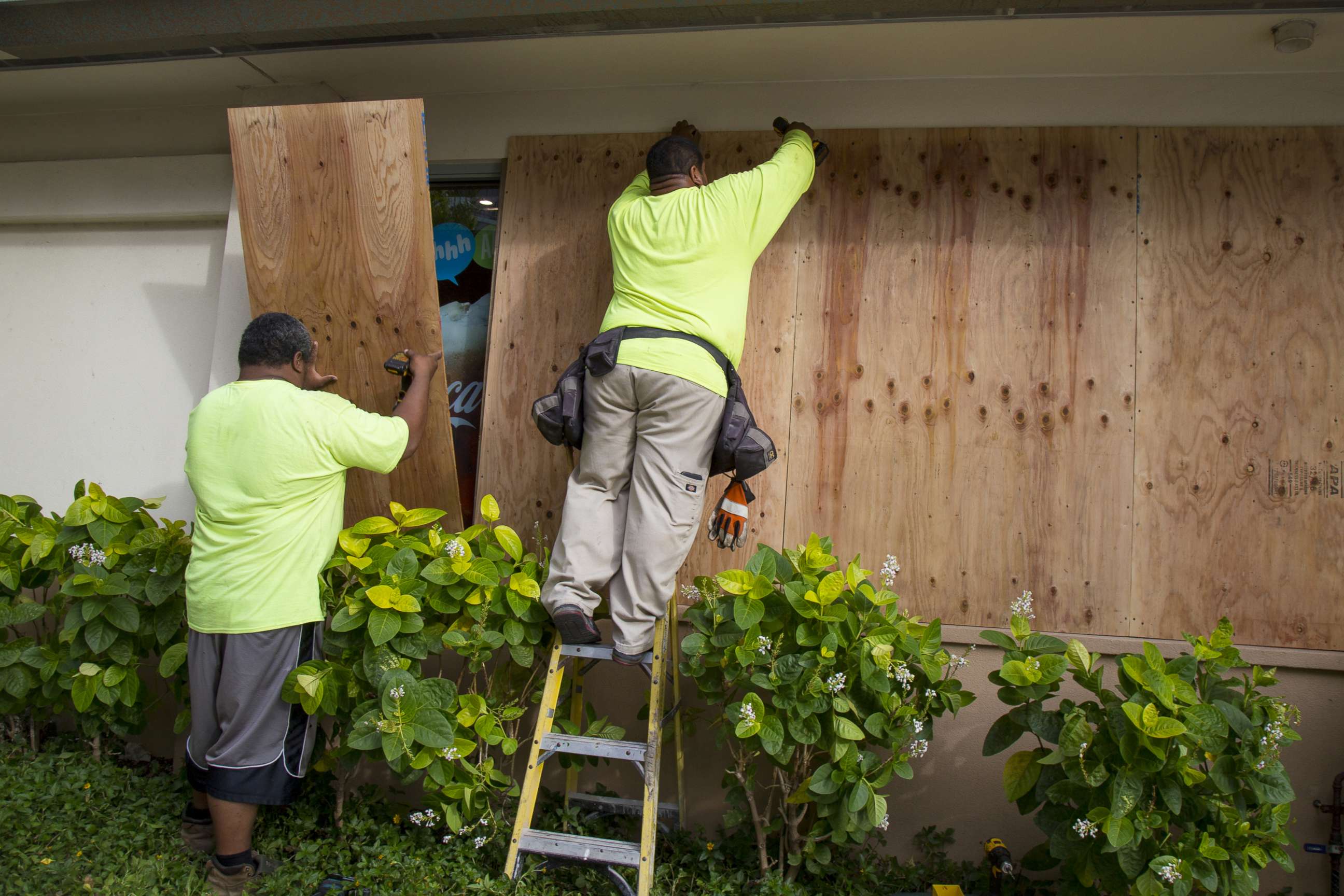 PHOTO: Yamasaki Construction workers, Talbot Khakai, left, and David Halafihi board up McDonalds multiple plate glass windows in preparation for Hurricane Lane on Aug. 22, 2018 in Honolulu.