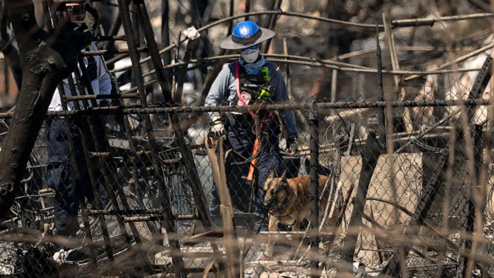 PHOTO: Members of the Search and Recovery Team, accompanied by cadaver dogs, check areas destroyed by wildfires in Lahaina, West Maui, Hawaii, Aug. 17, 2023.