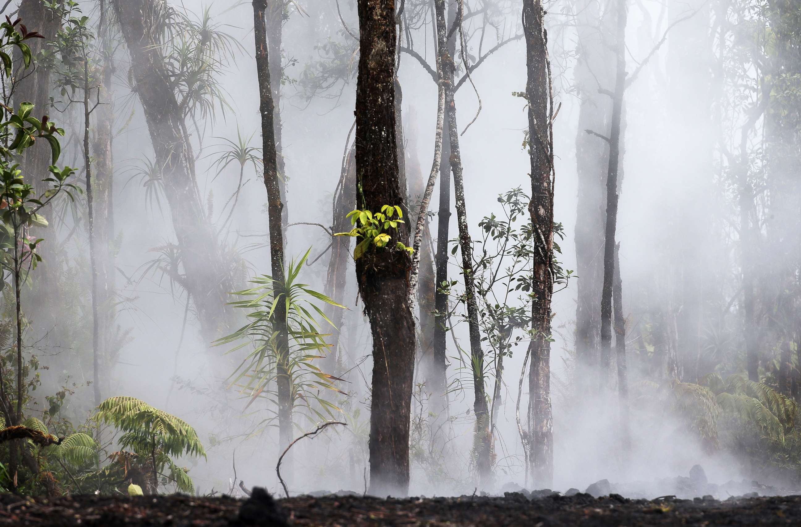 PHOTO: Steam and gas rise in Leilani Estates in the aftermath of the Kilauea volcano eruption on Hawaii's Big Island, May 10, 2018, in Pahoa, Hawaii.