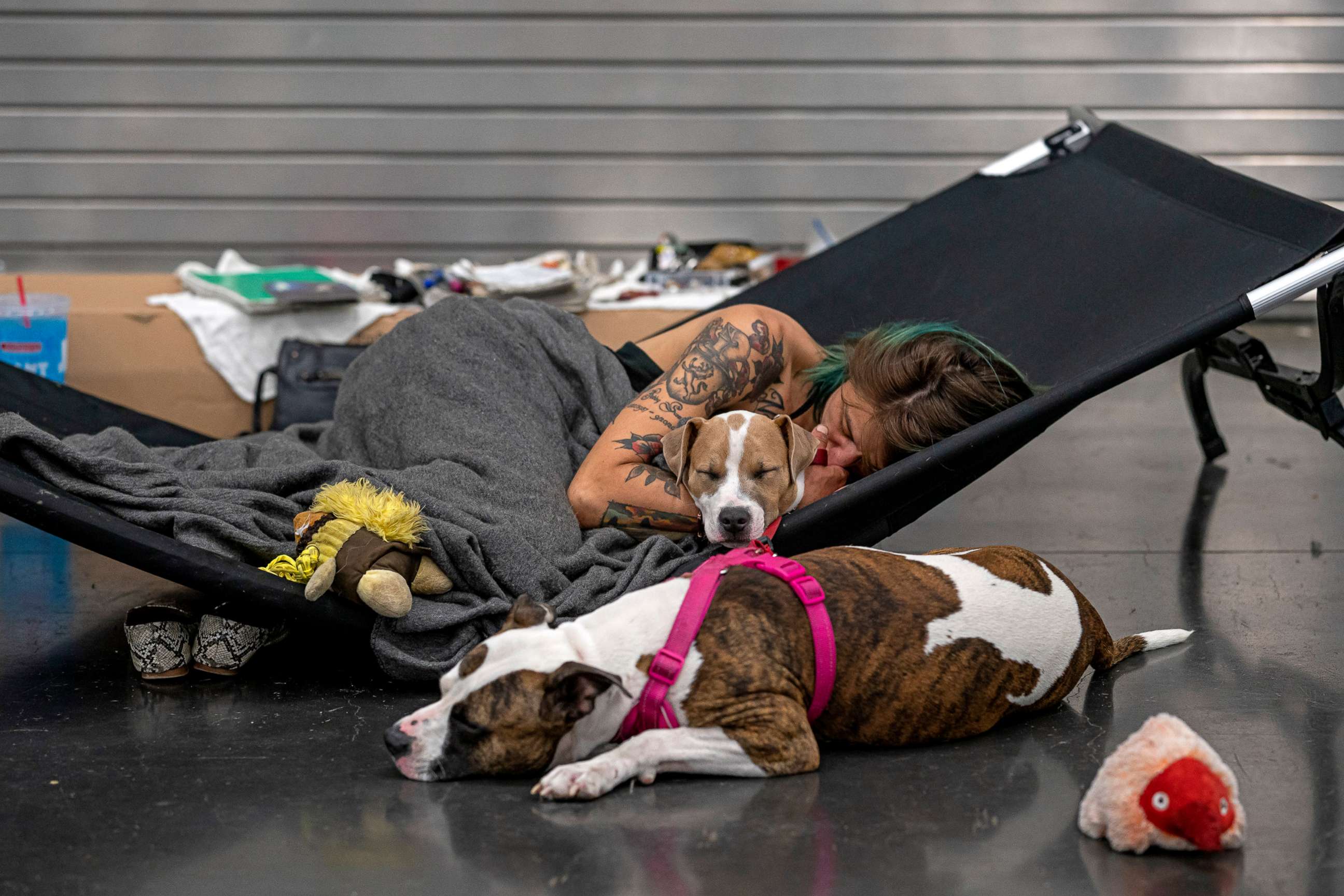 PHOTO: A woman rests with her two dogs at a cooling center in the Oregon Convention Center on June 27, 2021 in Portland. Record breaking temperatures lingered over the Northwest during a historic heatwave this weekend. 