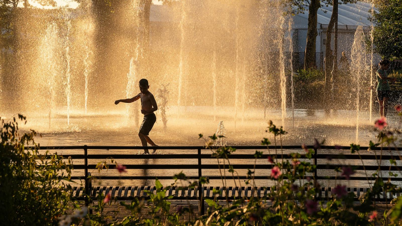 Climate change is a 'global health emergency,' new report says