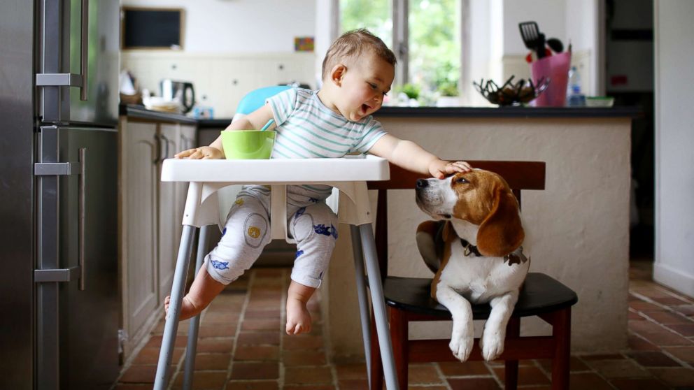 High chair 2025 safety standards