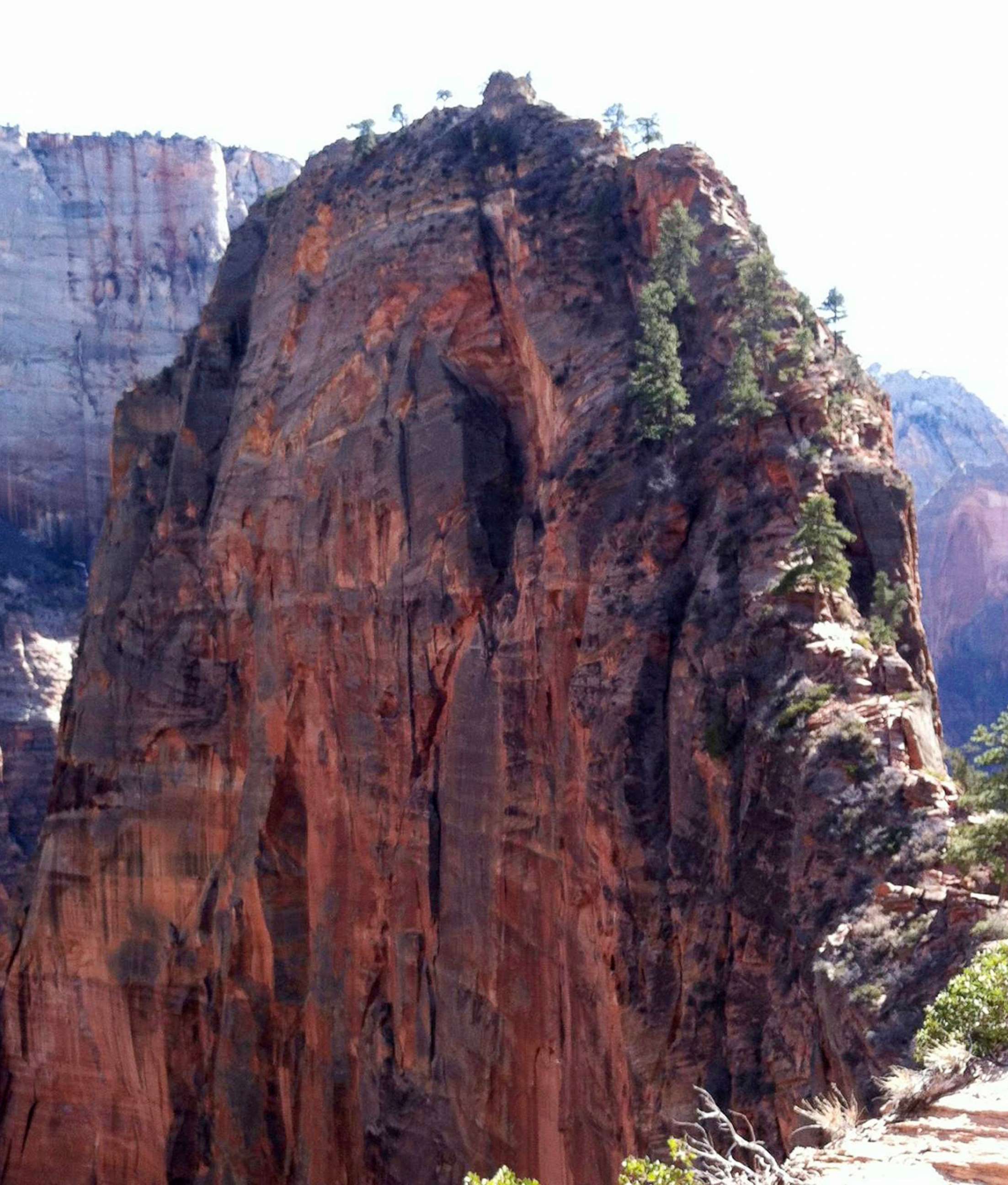 PHOTO: Angel's Landing Trail ascends in Zion National Park in Utah, Feb. 23, 3014.
