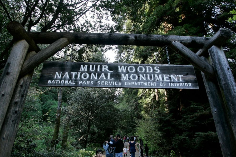 PHOTO: Visitors walk along a pathway near the entrance to the Muir Woods National Monument in Marin County, Calif., March 25, 2008.