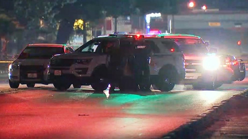 PHOTO: Police investigate the scene where a driver hit and killed a woman in Houston, Texas, April 8, 2019.