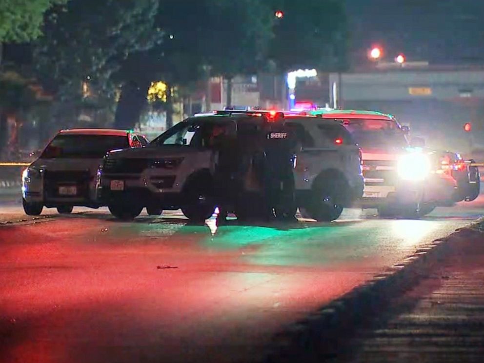 PHOTO: Police investigate the scene where a driver hit and killed a woman in Houston, Texas, April 8, 2019.