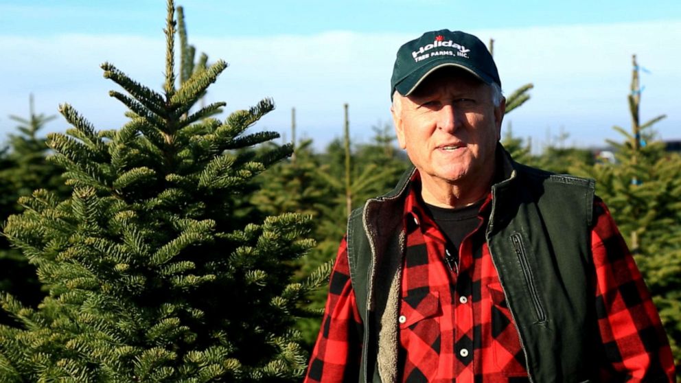 PHOTO: John Schudel said that when his father Hal started the business, he was harvesting around 30,000 to 40,000 trees yearly. Now, the farm ships approximately 1 million trees per year.