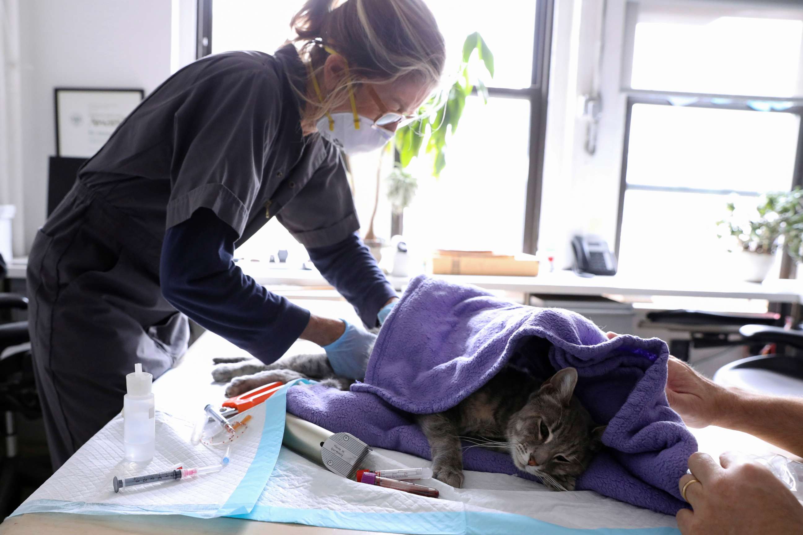 PHOTO: Home veterinarian Wendy Jane McCulloch examines cat as she makes client home visits, which have additional safety protocols in recent weeks during the spread of coronavirus disease (COVID-19) outbreak, in New York City, March 31, 2020.