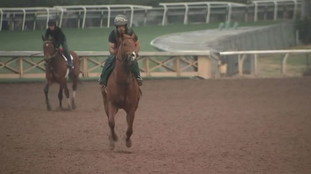 VIDEO: The horse suffered an ankle injury while leading the pack at a race on Saturday, just two days after Santa Anita Park reopened after closing for a soil inspection.