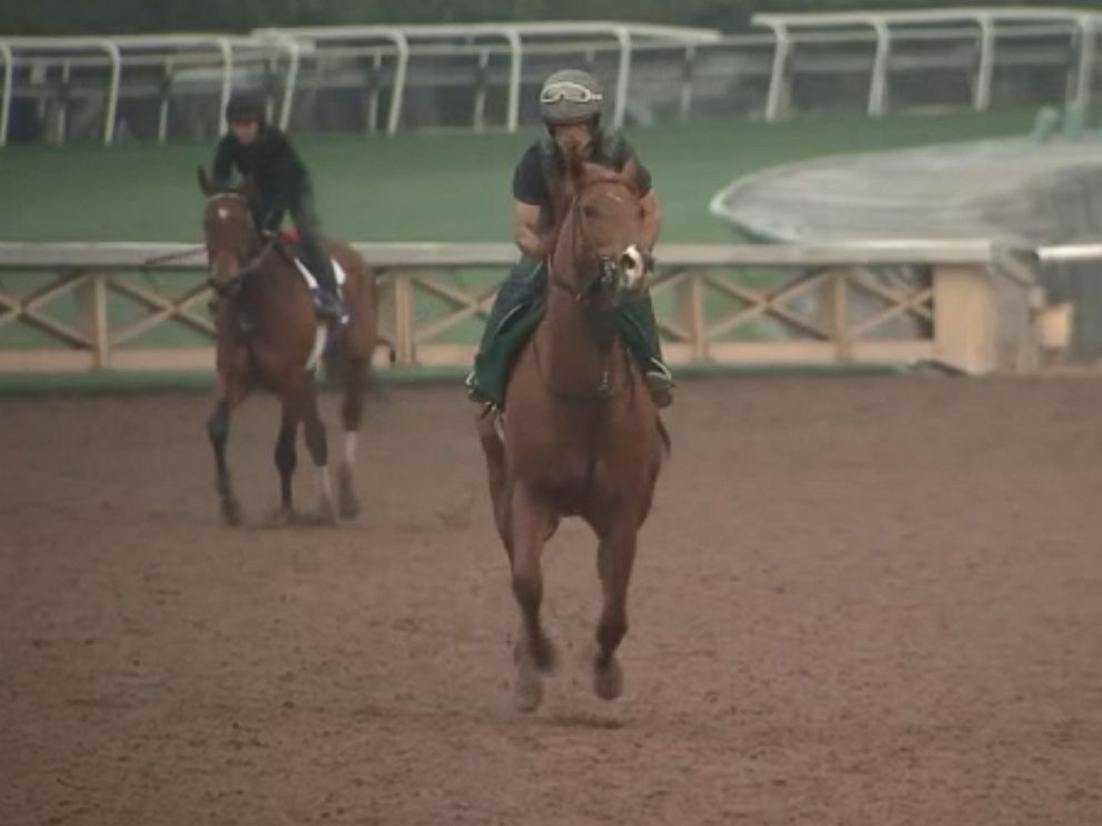 PHOTO: Horses continue to die at Santa Anita track in Arcadia, Calif.