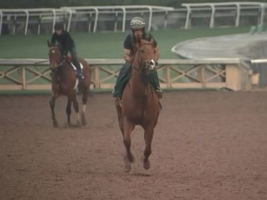 20th horse in 2 months dies at California racetrack