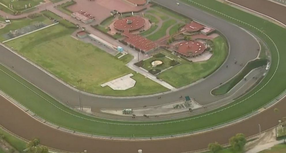 PHOTO: Horses continue to die at Santa Anita track in Arcadia, Calif.