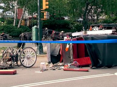 Central Park horse carriage rides temporarily suspended following death of tourist