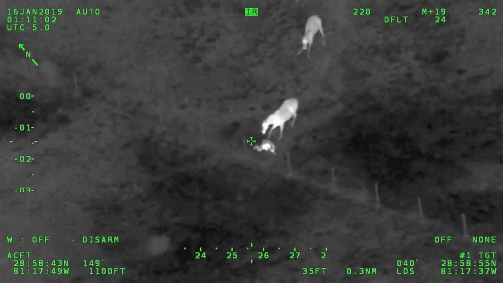 PHOTO: A trio of horses helped the Volusia County Sheriff's Office in Florida nab a fleeing suspect. 