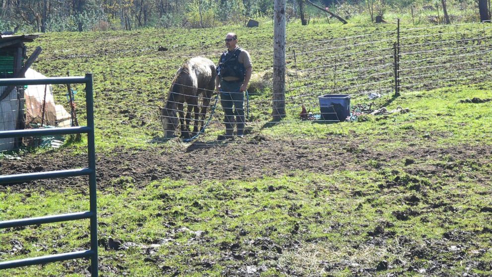 14 horses found dead, another 34 seized from Oregon property covered in ...