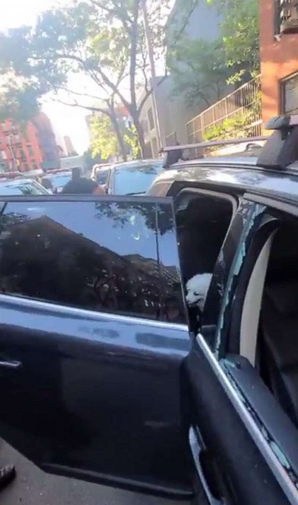 PHOTO: In this screen grab posted to the Twitter account of the NYPD 19th Precinct, police officers are shown rescuing the dog from a hot car after a passerby reported the distressed animal.