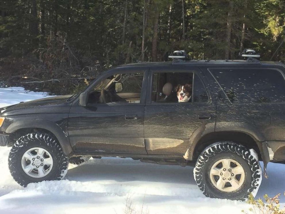 PHOTO: Deschutes County Sheriff's Office sent out photos of Jeremy Taylor's black Toyota 4Runner, with his dog Ally, before he was rescued near Sunriver, Ore., on Friday, March 1, 2019.