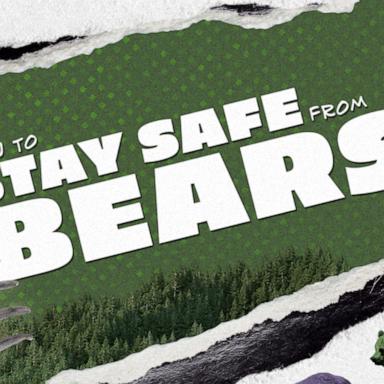 The likelihood of being attacked by a bear is under 1%, according to the National Park Service.