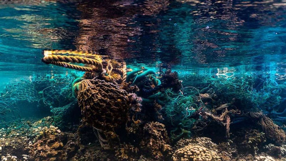 PHOTO: The Hawaii Pacific University's Center for Marine Debris Research is testing a program in which it will pay commercial fisheries a "bounty" to remove derelict fishing gear and other marine debris from the ocean.