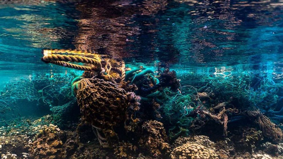 PHOTO: The Hawaii Pacific University's Center for Marine Debris Research is testing a program in which it will pay commercial fisheries a 