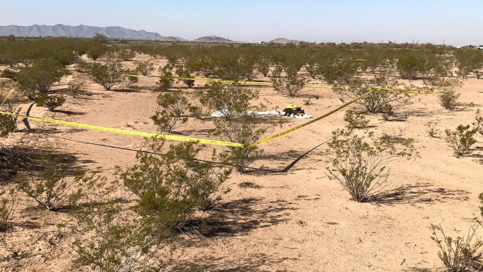Two skydivers survived after colliding midair in Arizona, police said.