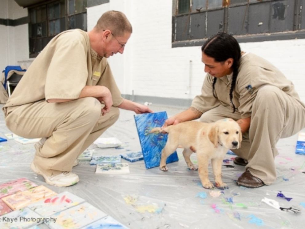PHOTO: ICANs Puppy Love Valentine project has service dogs trained by prison inmates deliver Valentines Day treats throughout Indianapolis.