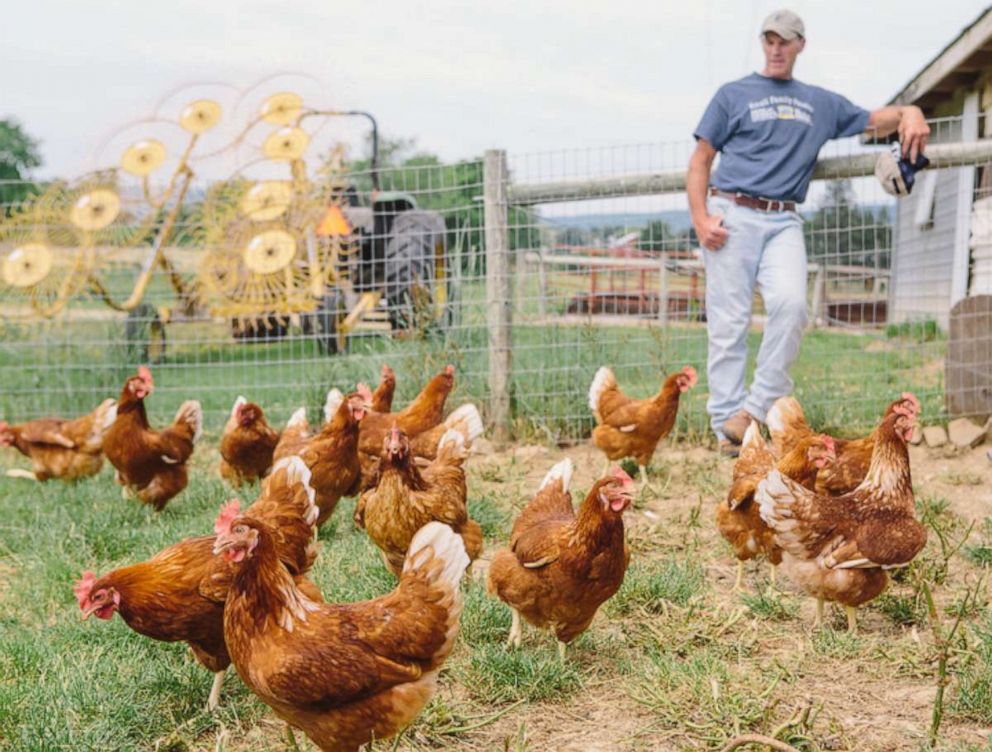 PHOTO: Maynard Zimmern with his hens on their family farm.