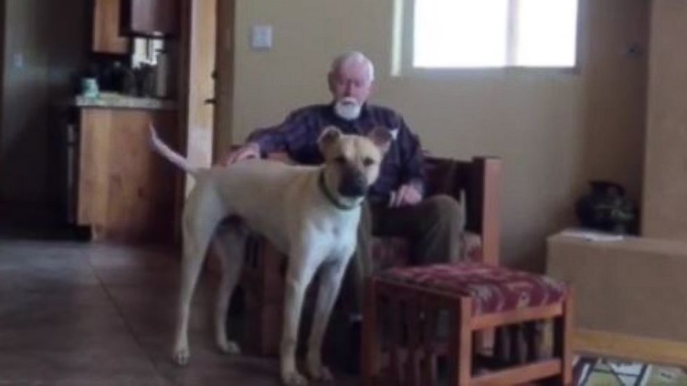 PHOTO: A man with Alzheimer's temporarily regains his speech when petting the family dog. 