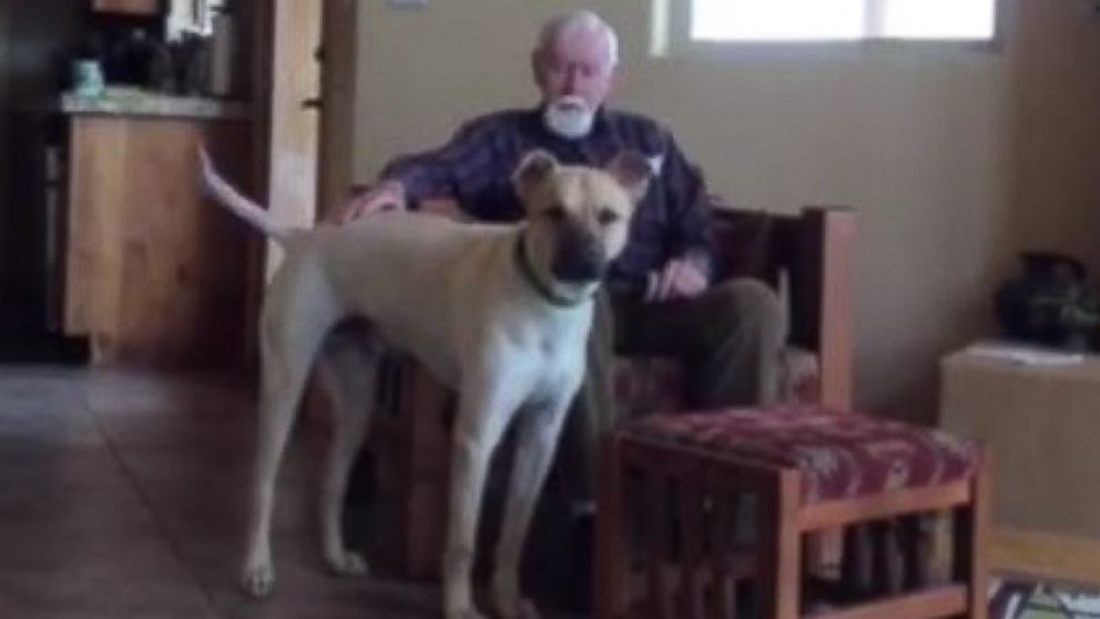 A man with Alzheimer's temporarily regains his speech when petting the family dog. 