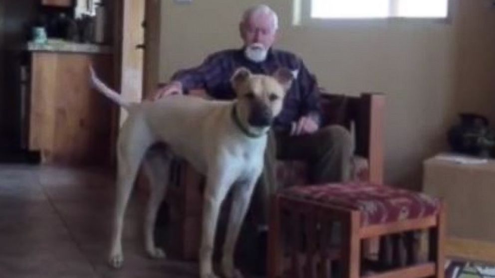 A man with Alzheimer's temporarily regains his speech when petting the family dog.