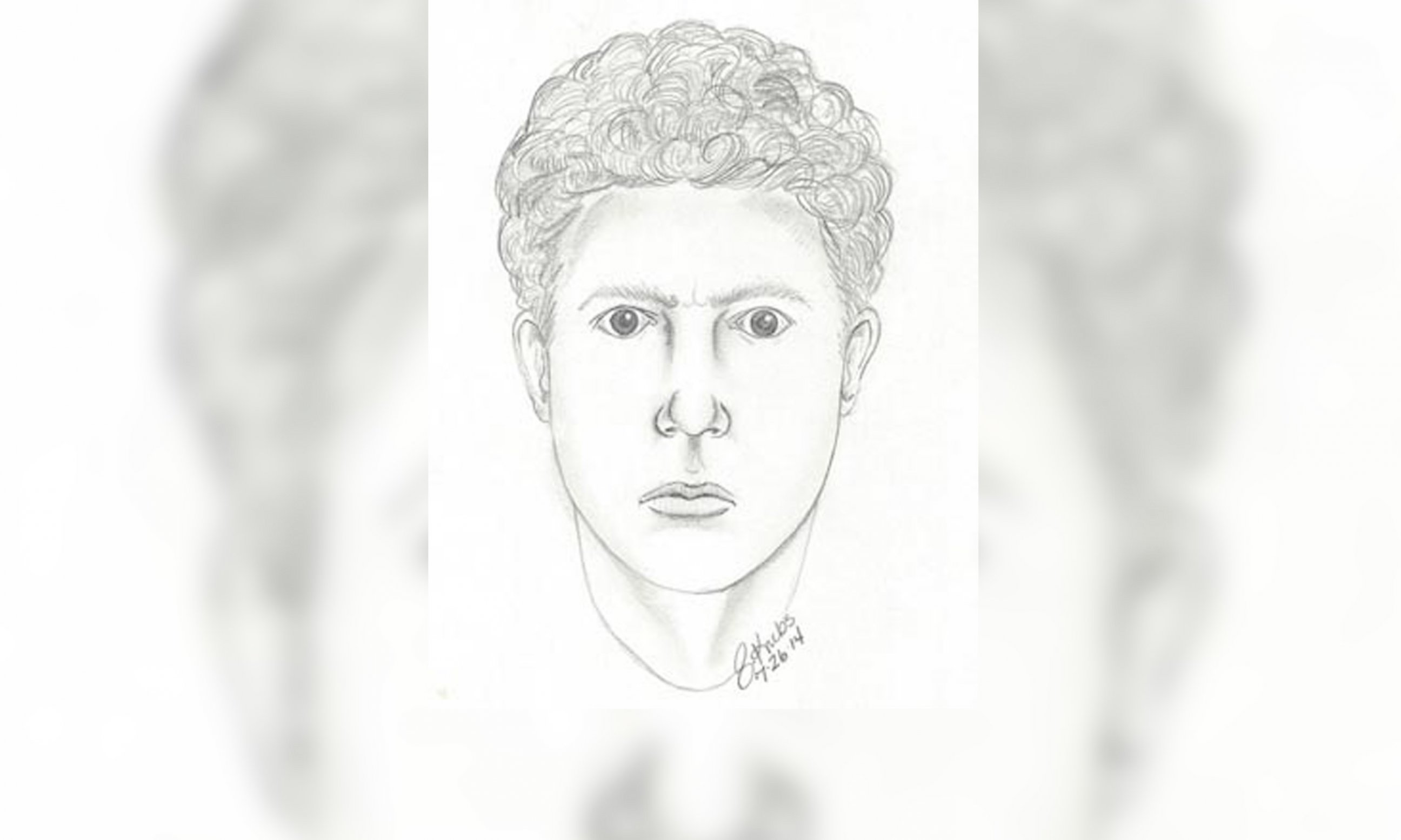 PHOTO: Michigan State Police released this drawing of a person of interest in their investigation into the July 24, 2014 death of April Millsap. 