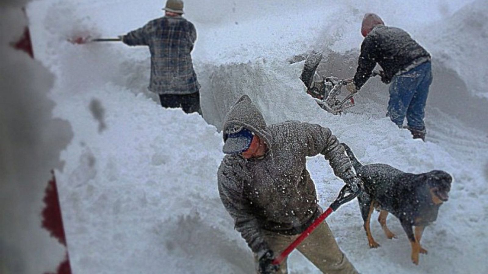 What It's Like to Be Trapped by a Wall of Snow in Buffalo Storm - ABC News