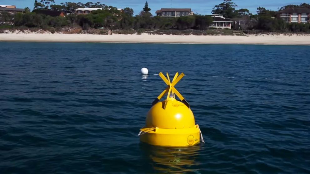 PHOTO: Shark Mitigation Systems has joined forces with Optus to develop the world's first shark detection technology to protect people and sharks throughout Australia and the world.
