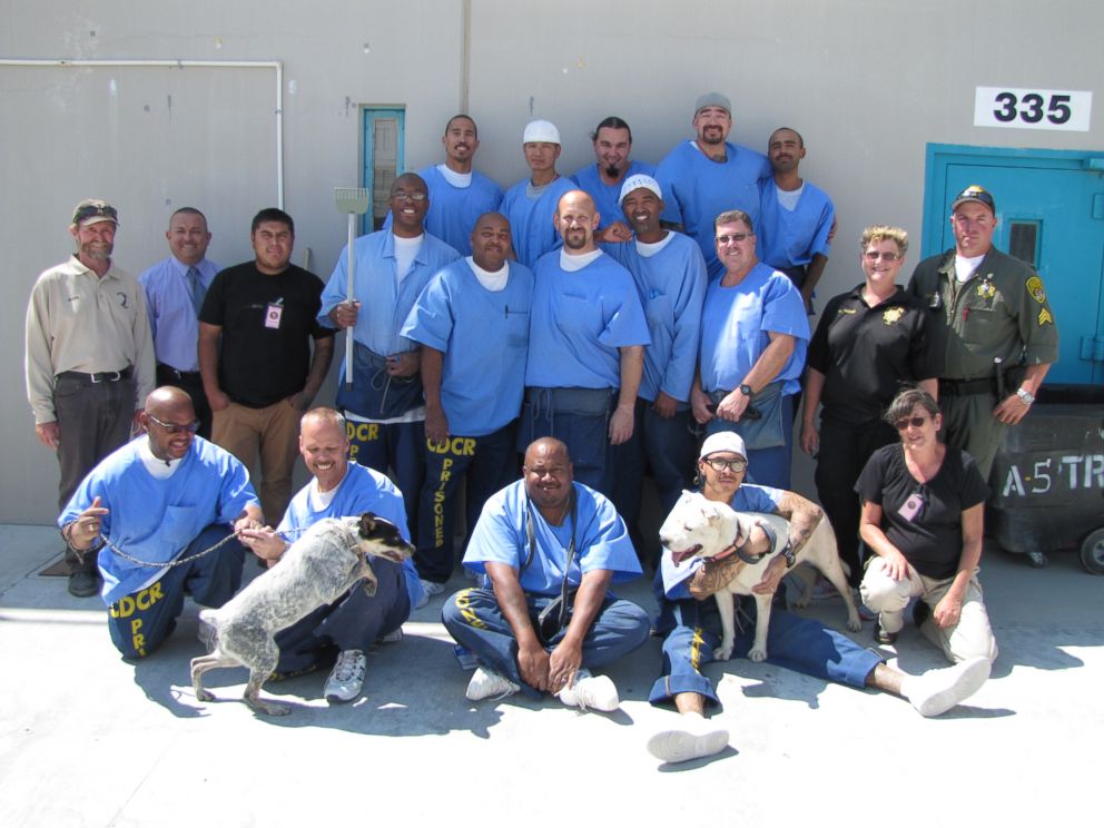 PHOTO: Inmates involved with the Paws 4 Life program at the California State Prison - Los Angeles County in Lancaster, California, took in and cared for nearly 50 animals from the Deaf Dogs Rescue of America.