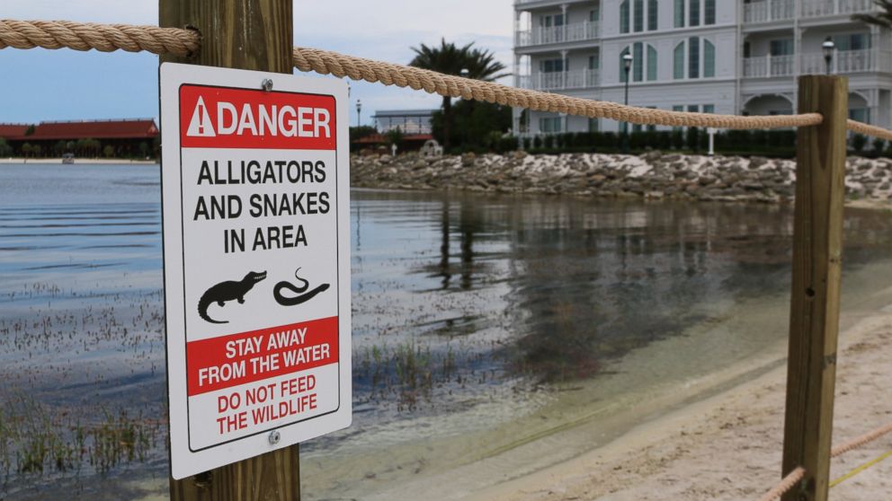 Caution: Alligators - Stay Out of The Water Portrait - Wall Sign