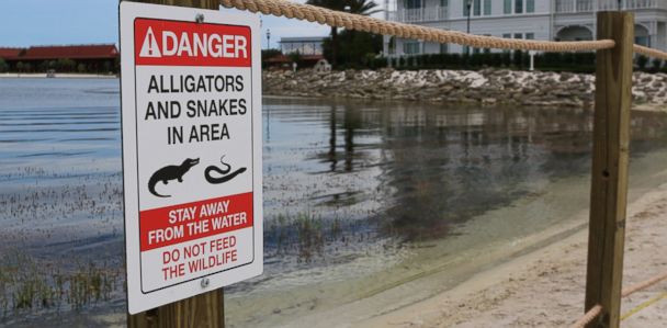 Plastic Sign Warning Alligators in Water 