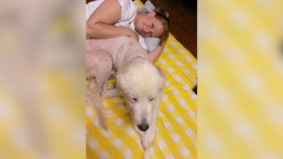 PHOTO: Michelle Shockley has adopted this Great Pyrenees, who she has since renamed Emma. 