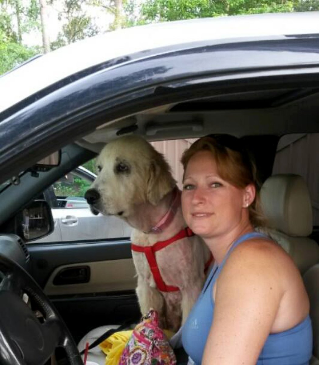 PHOTO: Michelle Shockley has adopted this Great Pyrenees, who she has since renamed Emma. 