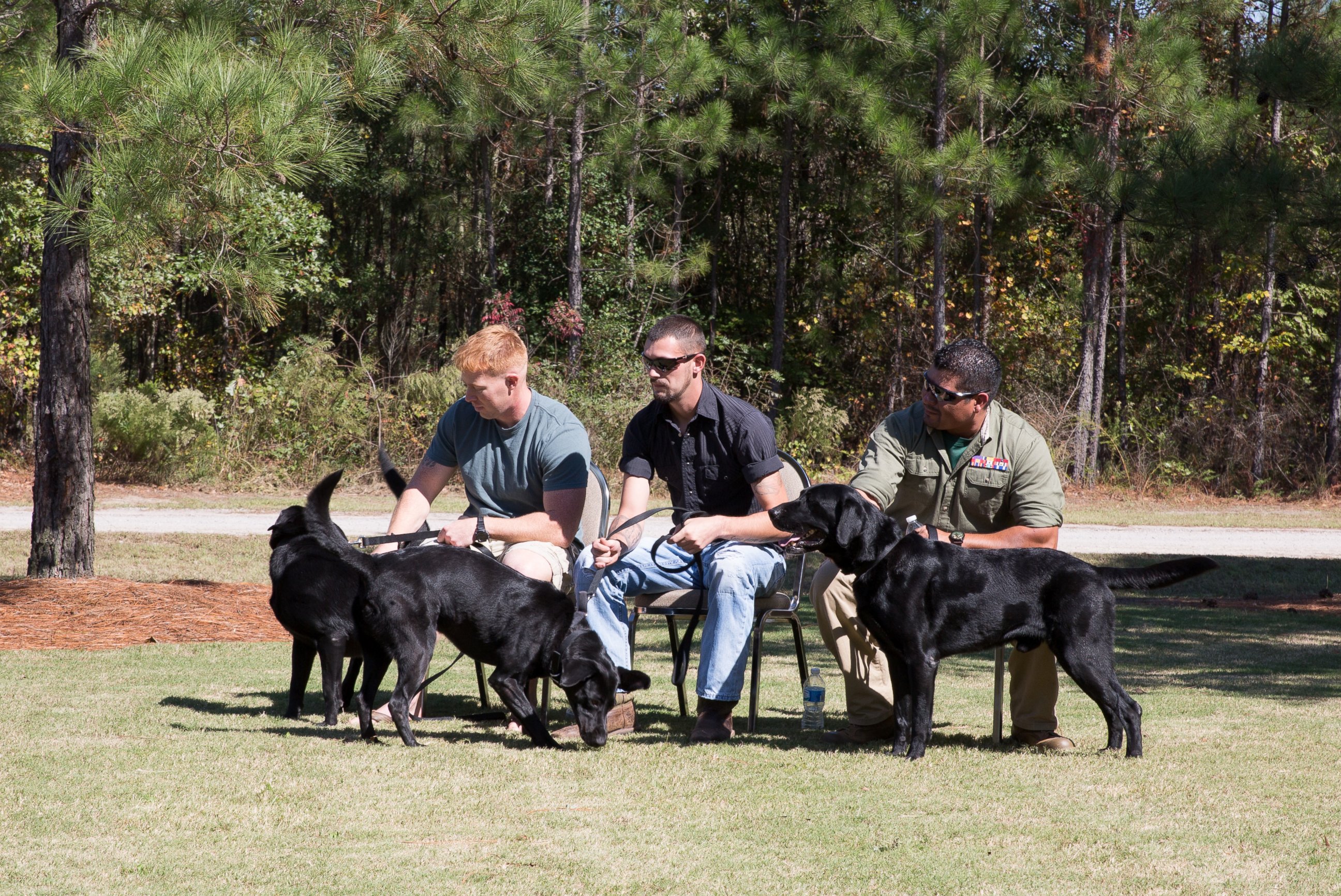 PHOTO: From right to left, Marines Sgt. Mark Slocum, Cpl. Stephen Kessler and Sgt. Chris Jaramillo, are pictured here reuniting with their war dogs on Oct. 14, 2015. 