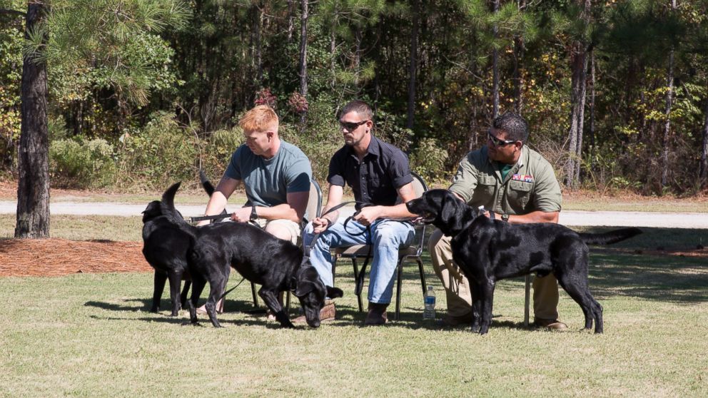 PHOTO: From right to left, Marines Sgt. Mark Slocum, Cpl. Stephen Kessler and Sgt. Chris Jaramillo, are pictured here reuniting with their war dogs on Oct. 14, 2015. 