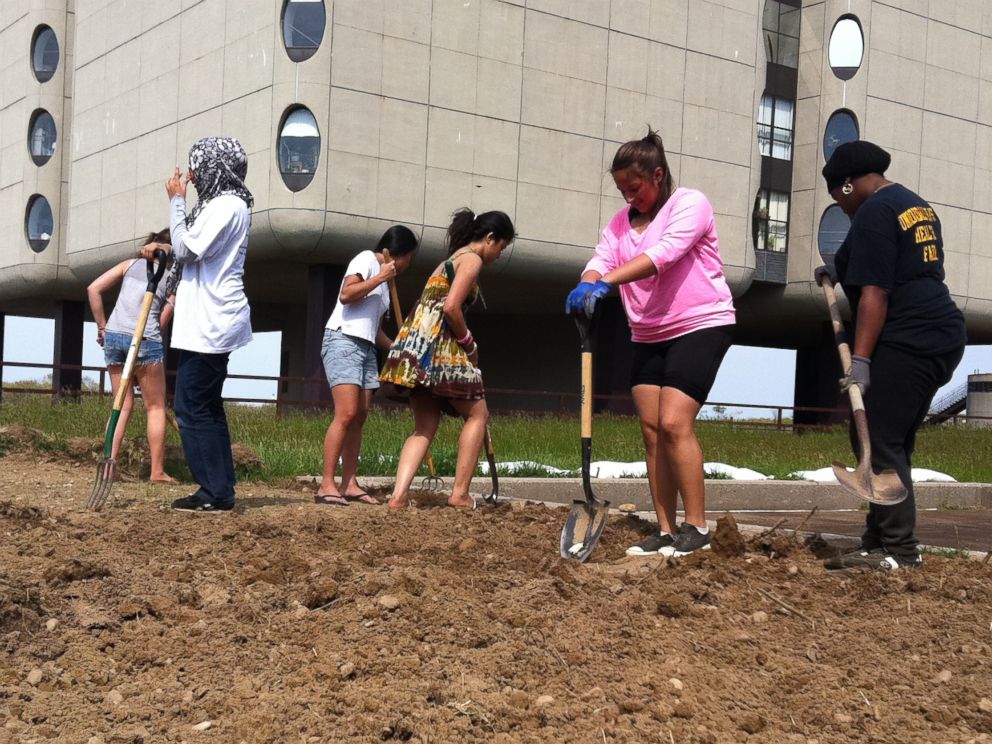 PHOTO: Stony Brook University Medical Center's 4,000 square foot roof top garden grows more than 30 kinds of herbs and vegetables.