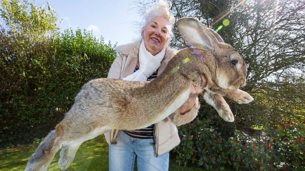Annette Edwards is pictured with her rabbit, Jeff. 