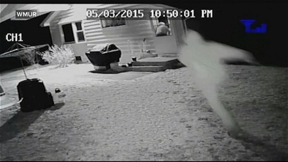 PHOTO: Surveillance video shows two men rush a woman as she opened the dog to let her dog in.
