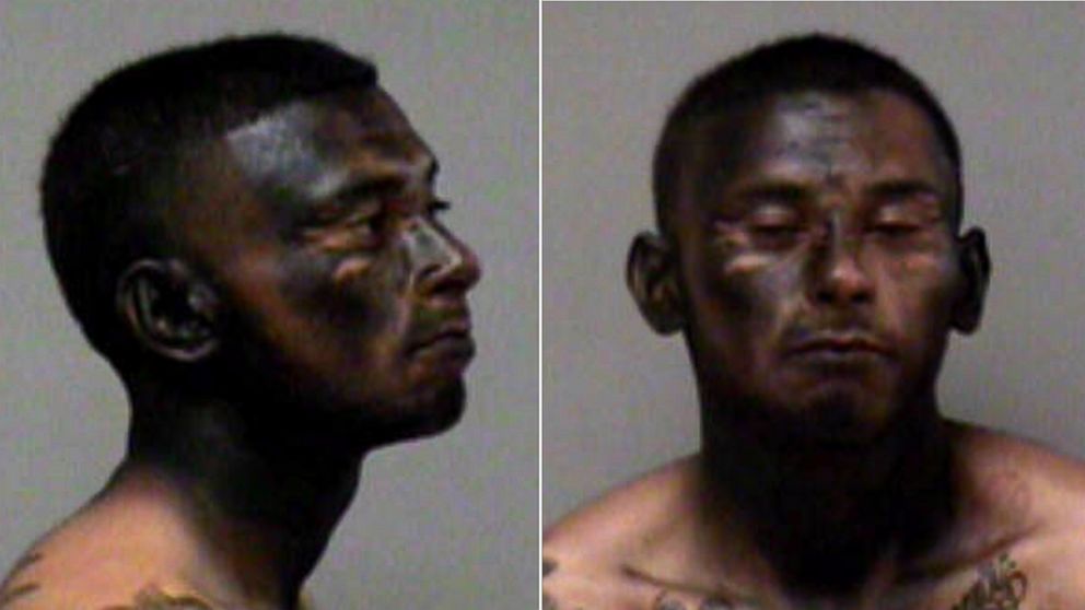 PHOTO: Jose Espinoza, 23, seen here in a police booking photo from March 15, 2015, allegedly spray painted his face black to try and evade police.