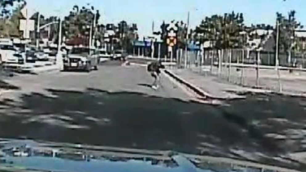 PHOTO: Video released by the Sacramento Police Department shows 50-year-old Joseph Mann doing karate in the middle of the street as officers tell him to "drop the knife," on July 11, 2016.