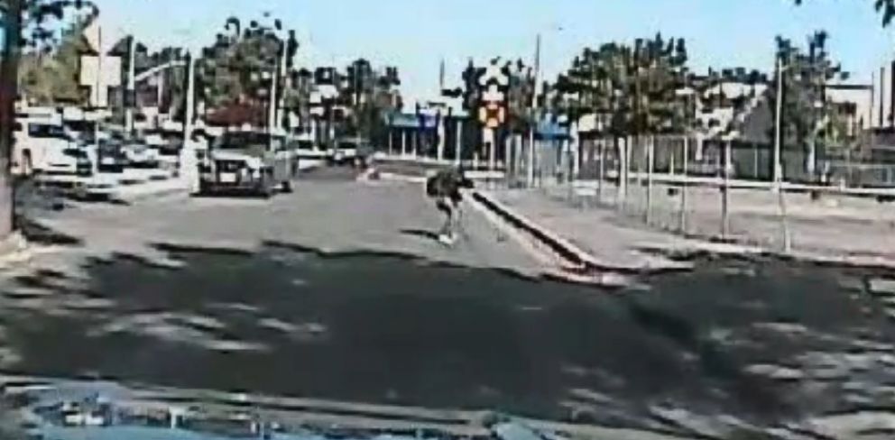 PHOTO: Video released by the Sacramento Police Department shows 50-year-old Joseph Mann doing karate in the middle of the street as officers tell him to "drop the knife," on July 11, 2016.