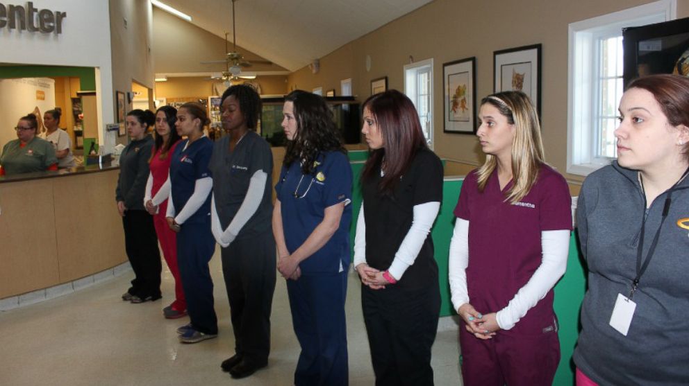 PHOTO: Veterinary staff were lined up on both sides of the entrance to pay their respects to Judge.