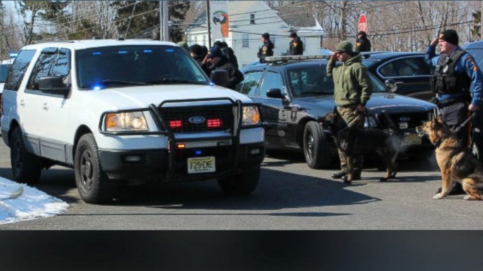 Пес батон такси под прикрытием. Police k9 немецкая овчарка. Овчарка в полиции. K-9 США полиция. Собаки американской полиции.