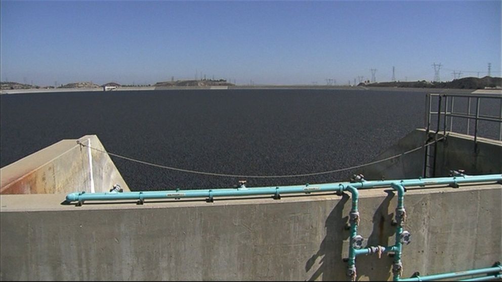 PHOTO: Plastic balls that provide shade to the water and prevent evaporation in the Los Angeles Reservoir were released on Aug. 10, 2015.