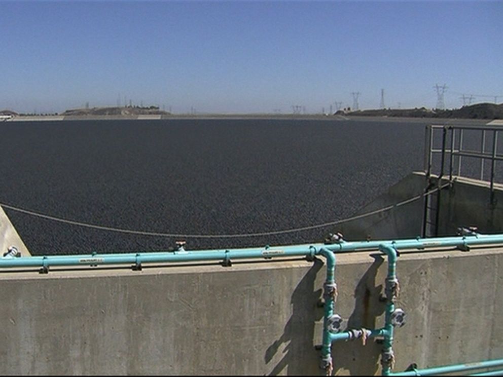 Los Angeles Reservoir Covered With 96 Million Shade Balls To Conserve Water Amidst Drought Abc 1768